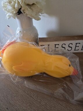Irre-squish-tible Duck